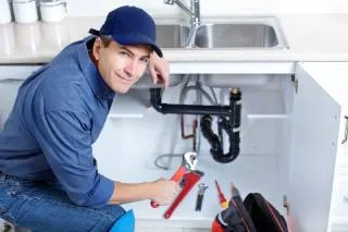 Honomu, HI Plumber Company